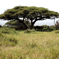 IMG_20250114-00-IMG_8355