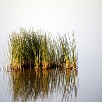 IMG_20250115-00-IMG_8901