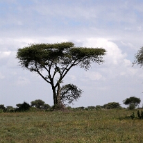 IMG_20250118-01-IMG_9655