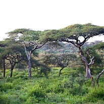 IMG_20250119-01-IMG_0177