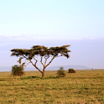 IMG_20250119-01-IMG_0280