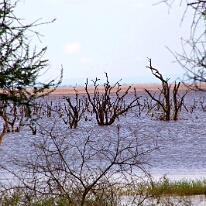 IMG_20250120-01-IMG_0878