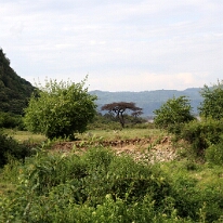 IMG_20250120-01-IMG_0998