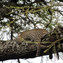 IMG_20250118-01-IMG_9865