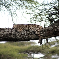 IMG_20250118-01-IMG_9878