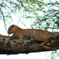 IMG_20250118-01-IMG_9892