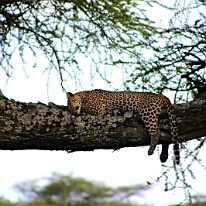 IMG_20250118-01-IMG_9903