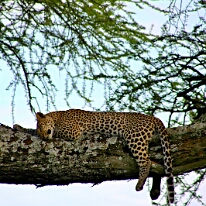 IMG_20250118-01-IMG_9904