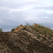 IMG_20250119-01-IMG_0692