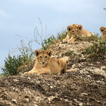 IMG_20250119-01-IMG_0693