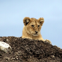 IMG_20250119-01-IMG_0698