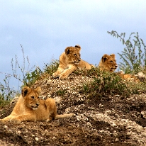 IMG_20250119-01-IMG_0702