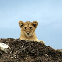 IMG_20250119-01-IMG_0703