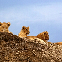 IMG_20250119-01-IMG_0705