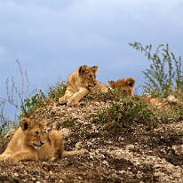 IMG_20250119-01-IMG_0708