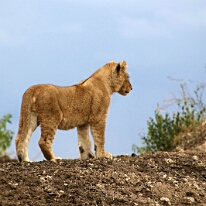 IMG_20250119-01-IMG_0719