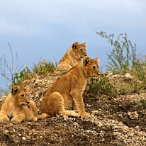 IMG_20250119-01-IMG_0723