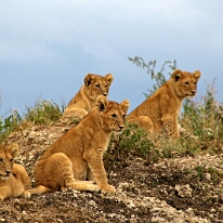 IMG_20250119-01-IMG_0726