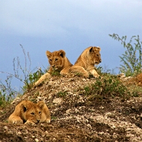 IMG_20250119-01-IMG_0729