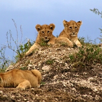 IMG_20250119-01-IMG_0733