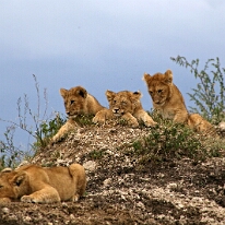 IMG_20250119-01-IMG_0735