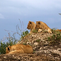 IMG_20250119-01-IMG_0762