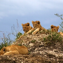 IMG_20250119-01-IMG_0771