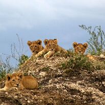 IMG_20250119-01-IMG_0772