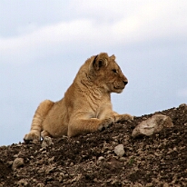 IMG_20250119-01-IMG_0794