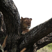 IMG_20250118-01-IMG_9765