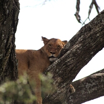 IMG_20250118-01-IMG_9778