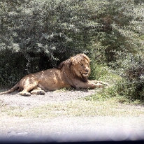 IMG_20250118-01-IMG_9786