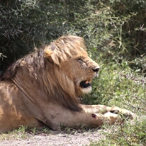 IMG_20250118-01-IMG_9787