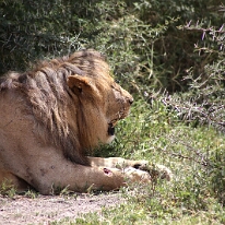 IMG_20250118-01-IMG_9791