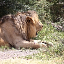 IMG_20250118-01-IMG_9794