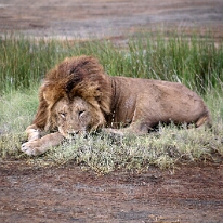 IMG_20250118-01-IMG_9838