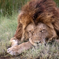 IMG_20250118-01-IMG_9840