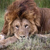 IMG_20250118-01-IMG_9842