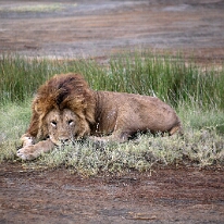 IMG_20250118-01-IMG_9844