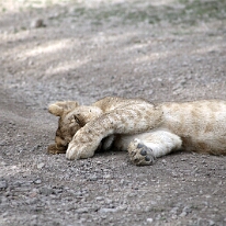 IMG_20250118-01-IMG_9959