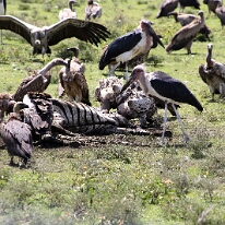 IMG_20250118-01-IMG_9659