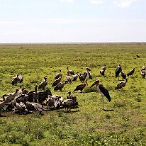 IMG_20250118-01-IMG_9663