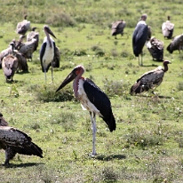 IMG_20250118-01-IMG_9665