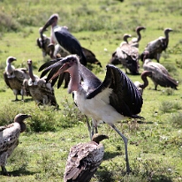 IMG_20250118-01-IMG_9671