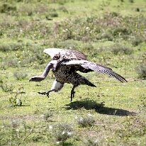 IMG_20250118-01-IMG_9706