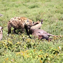 IMG_20250119-01-IMG_0441