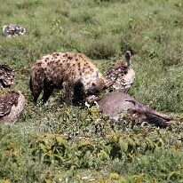 IMG_20250119-01-IMG_0447