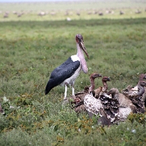 IMG_20250119-01-IMG_0510