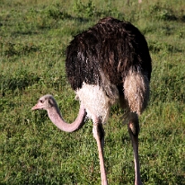 IMG_20250117-00-IMG_8980