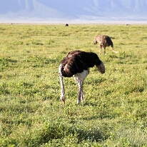 IMG_20250117-00-IMG_8989